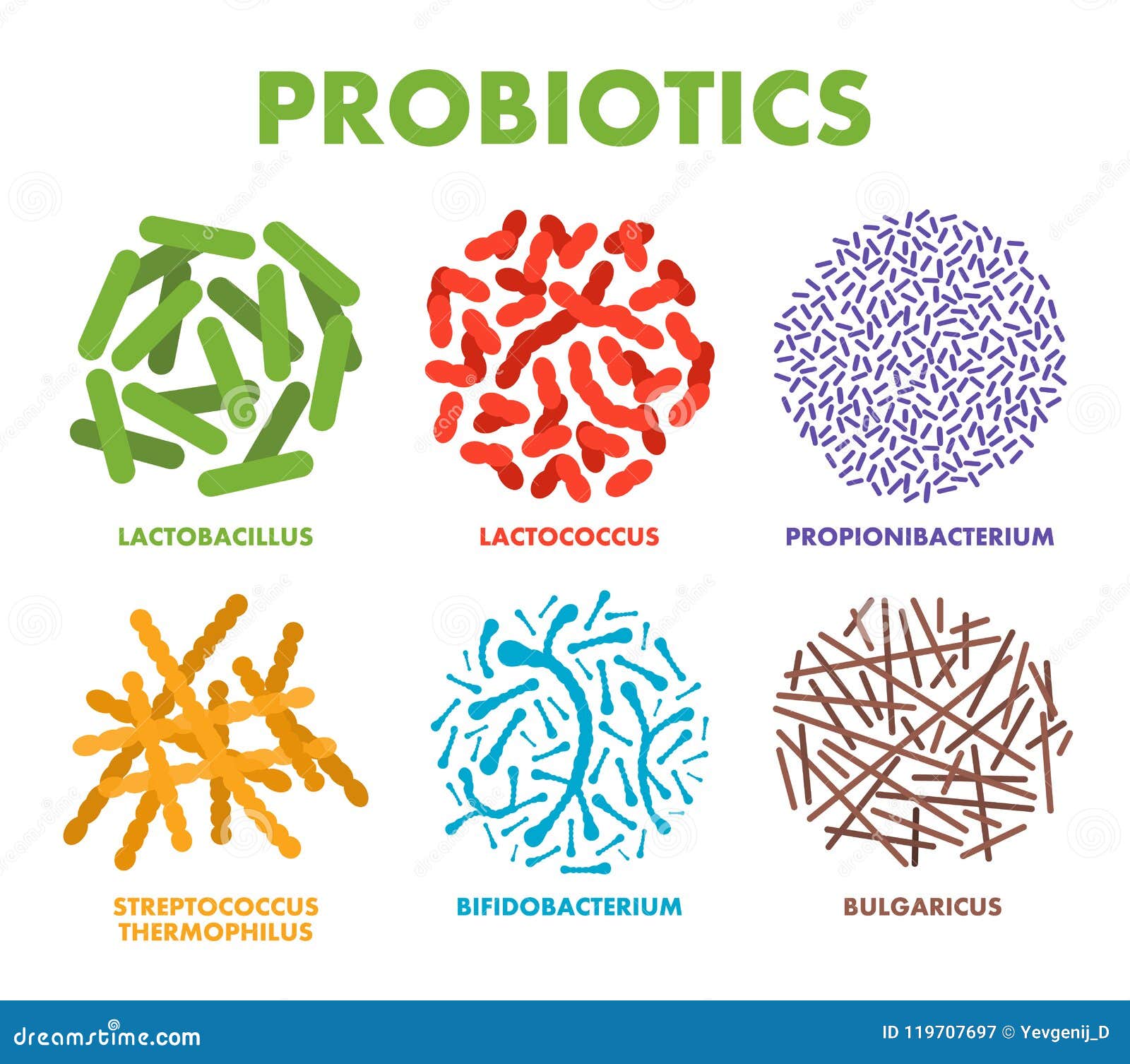 probiotics. good bacteria and microorganisms for human health. microscopic probiotics, good bacterial flora
