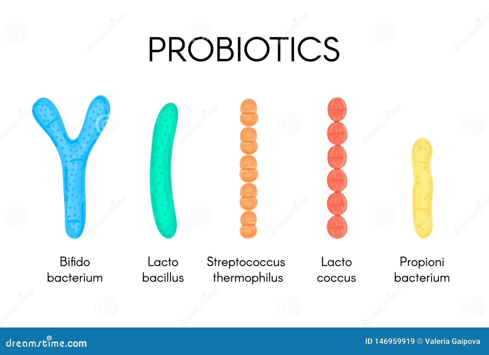 Тест на стрептококки в аптеке. Пробиотики лактобактерии и бифидобактерии. Streptococcus thermophilus пробиотик. Ацидофильные лактобактерии (Lactobacillus Acidophilus). Streptococcus thermophilus стрептококк термофильный.