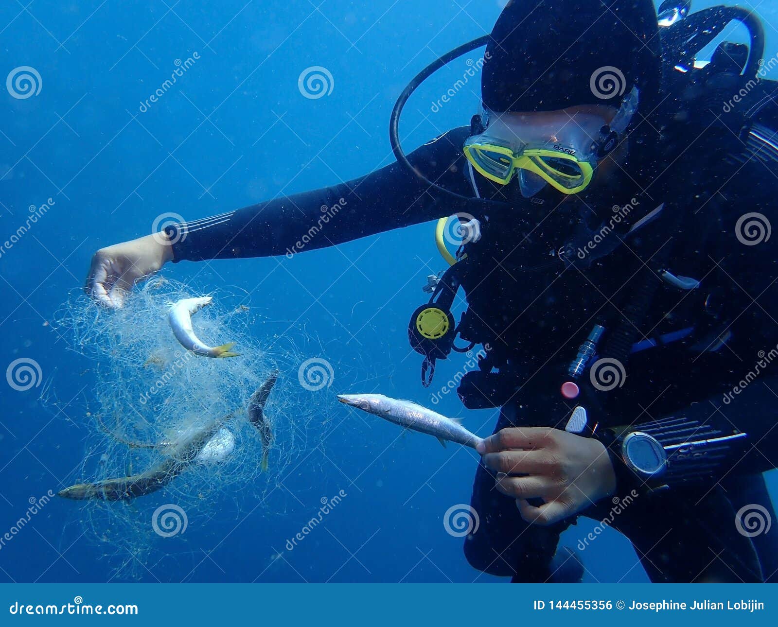 Ghost Fishing Gear Stock Photos - Free & Royalty-Free Stock Photos