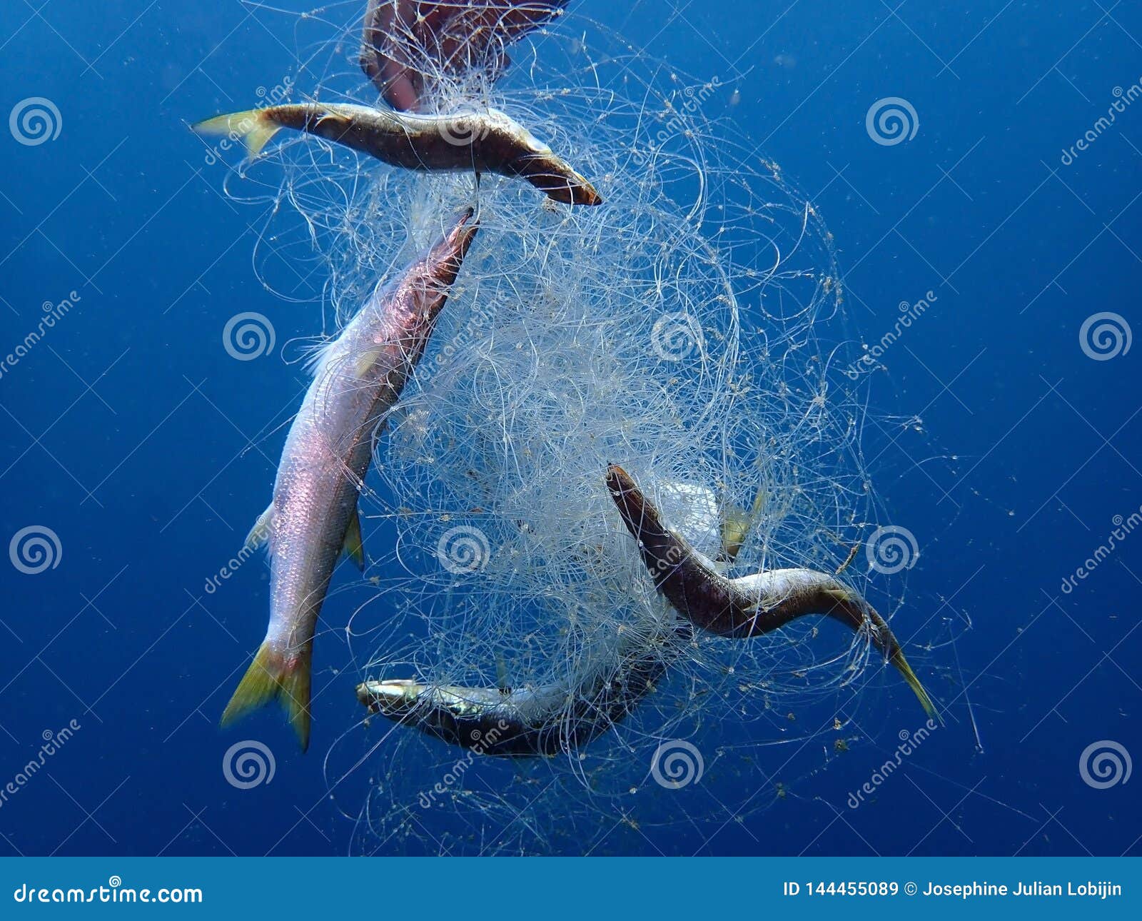 The Problem. `Ghost Fishing` is What Fishing Gear Does when it Has Been  Lost, Dumped or Abandoned. Nets, Long Lines or Fish Traps. Stock Image -  Image of fish, clouds: 144455089