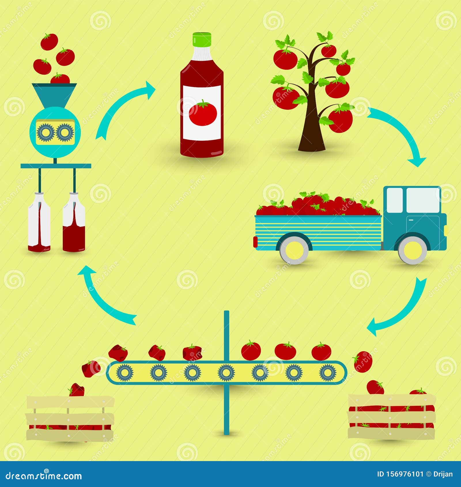 Todo 20+ Foto proceso productivo de la salsa de tomate para niños Lleno Todo 20+ Foto proceso productivo de la salsa de tomate para niños Lleno