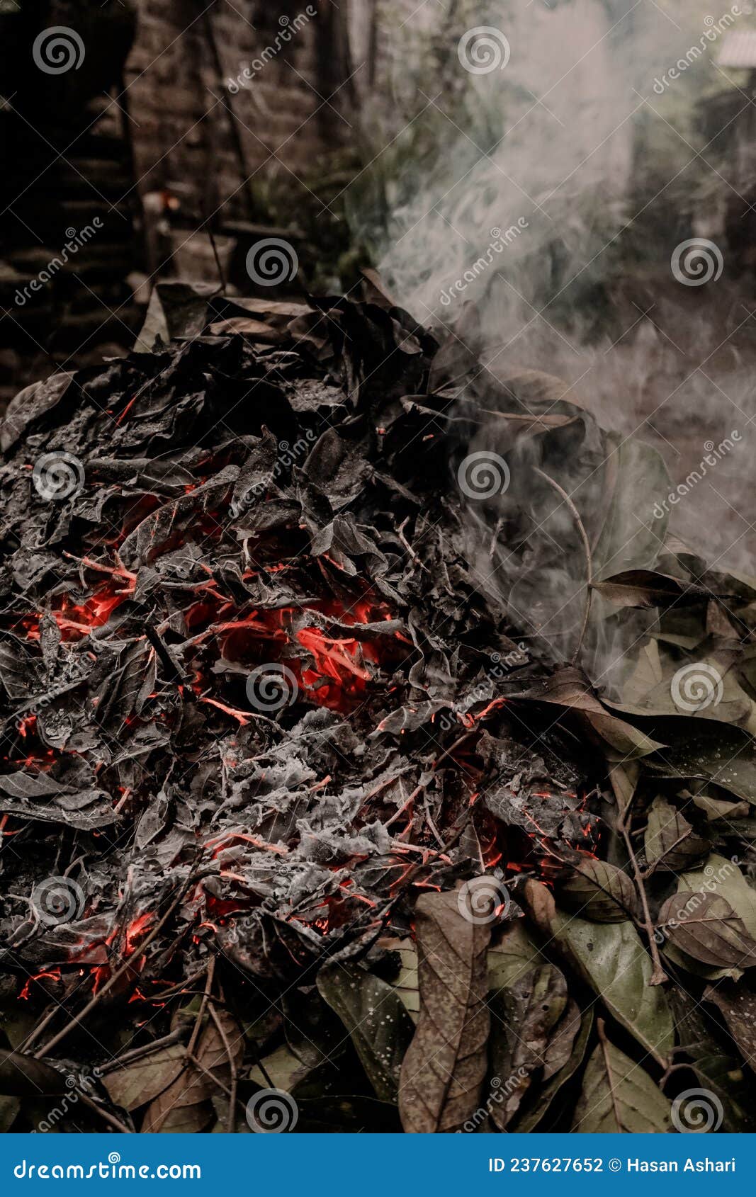 The Process of Burning Dry Leaf Waste Stock Photo Image of iron, rock