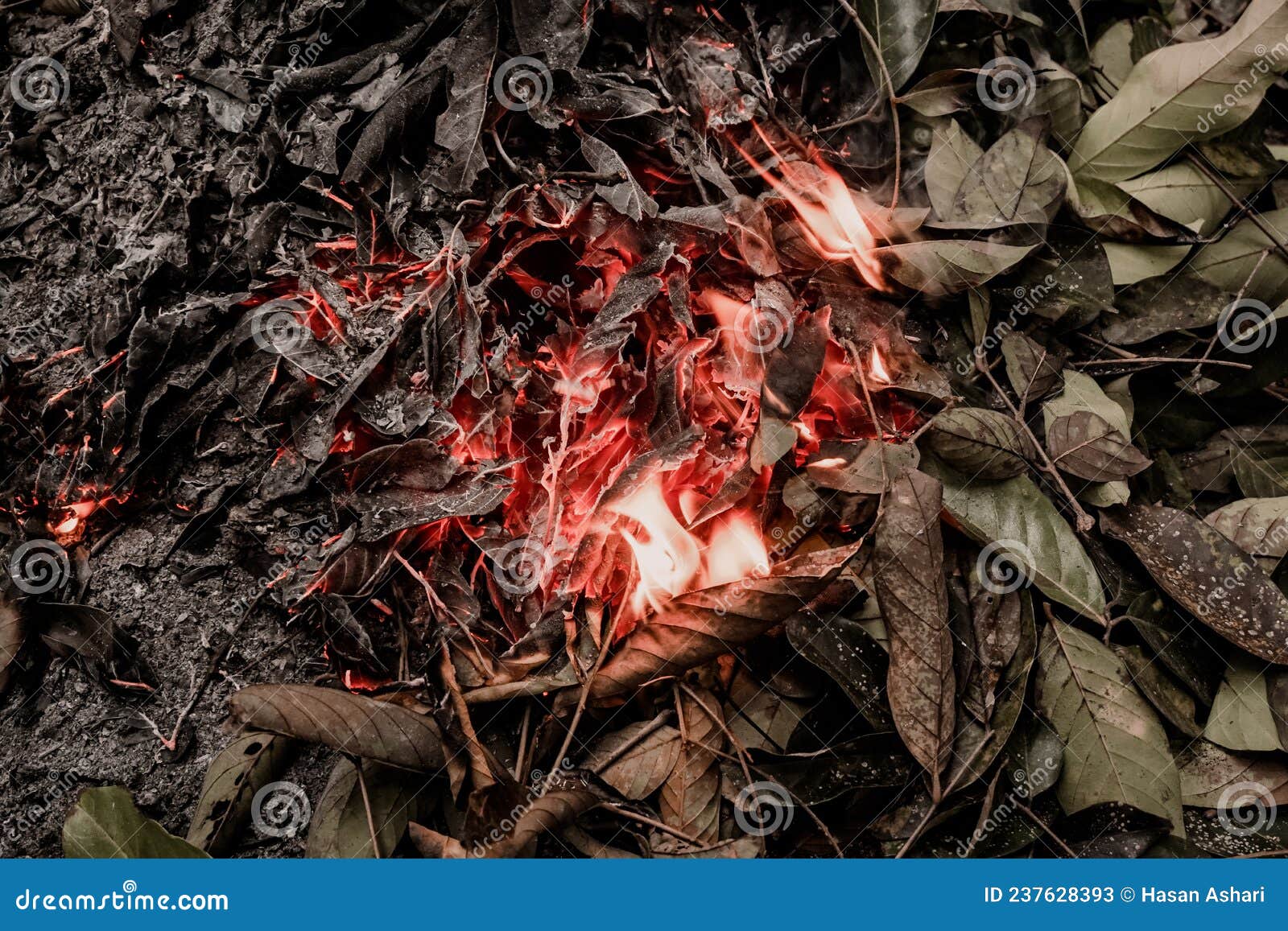The Process of Burning Dry Leaf Waste Stock Image Image of dish