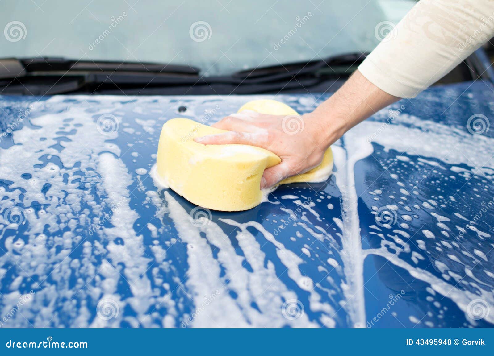 The Process of Cleaning the Hood of the Car with the Help of Shampoo