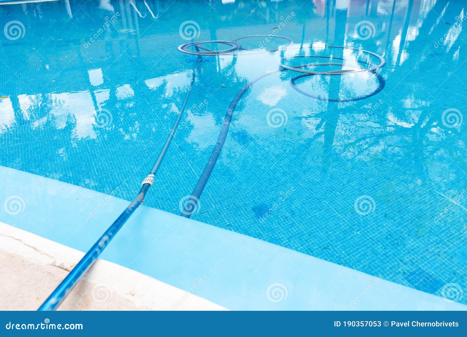 Process of Cleaning Swimming Pool Stock Image Image of clean, home