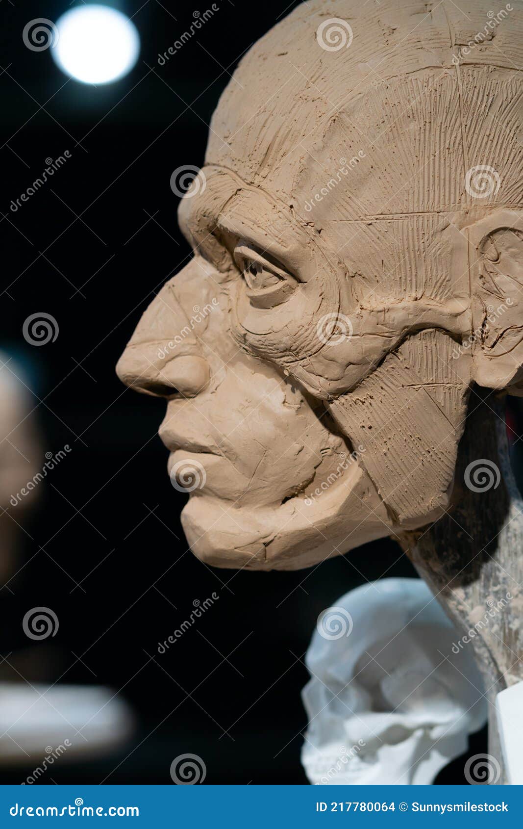 the process of creating ecorche. the sculptor is working.