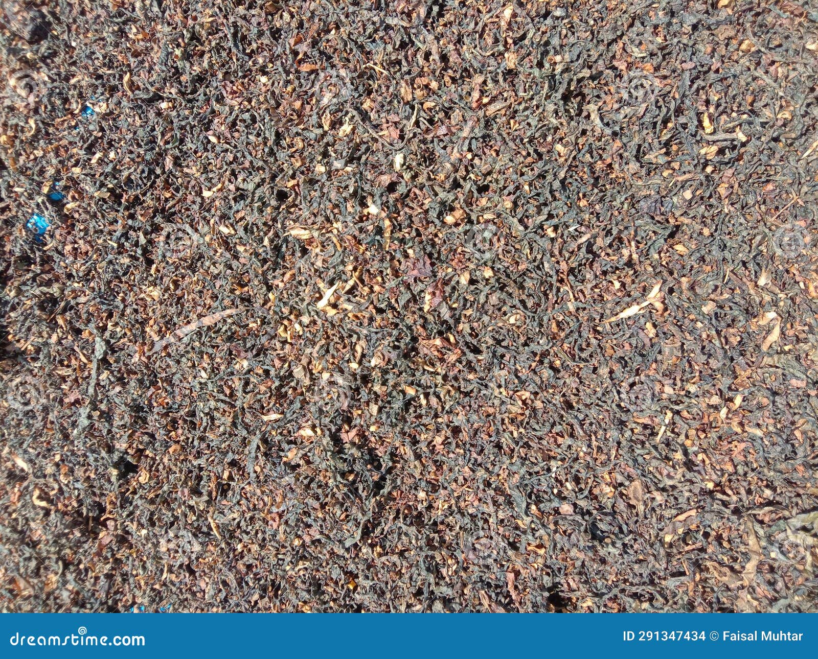 The Process of Drying Tobacco before Processing it into Cigarettes