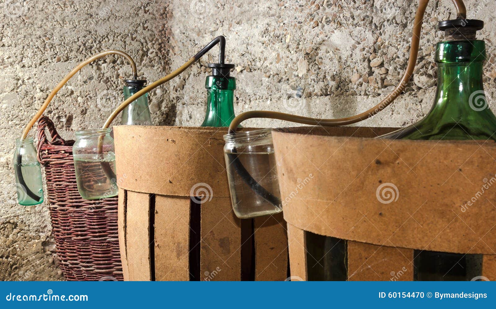 Process of a Fermentation of Wine in Demijohn Wine Stock Photo Image