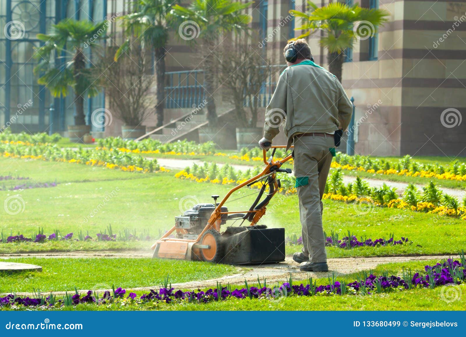 Process Of Lawn Mowing, Concept Of Mowing The Lawn, Lawnmower Cutting ...