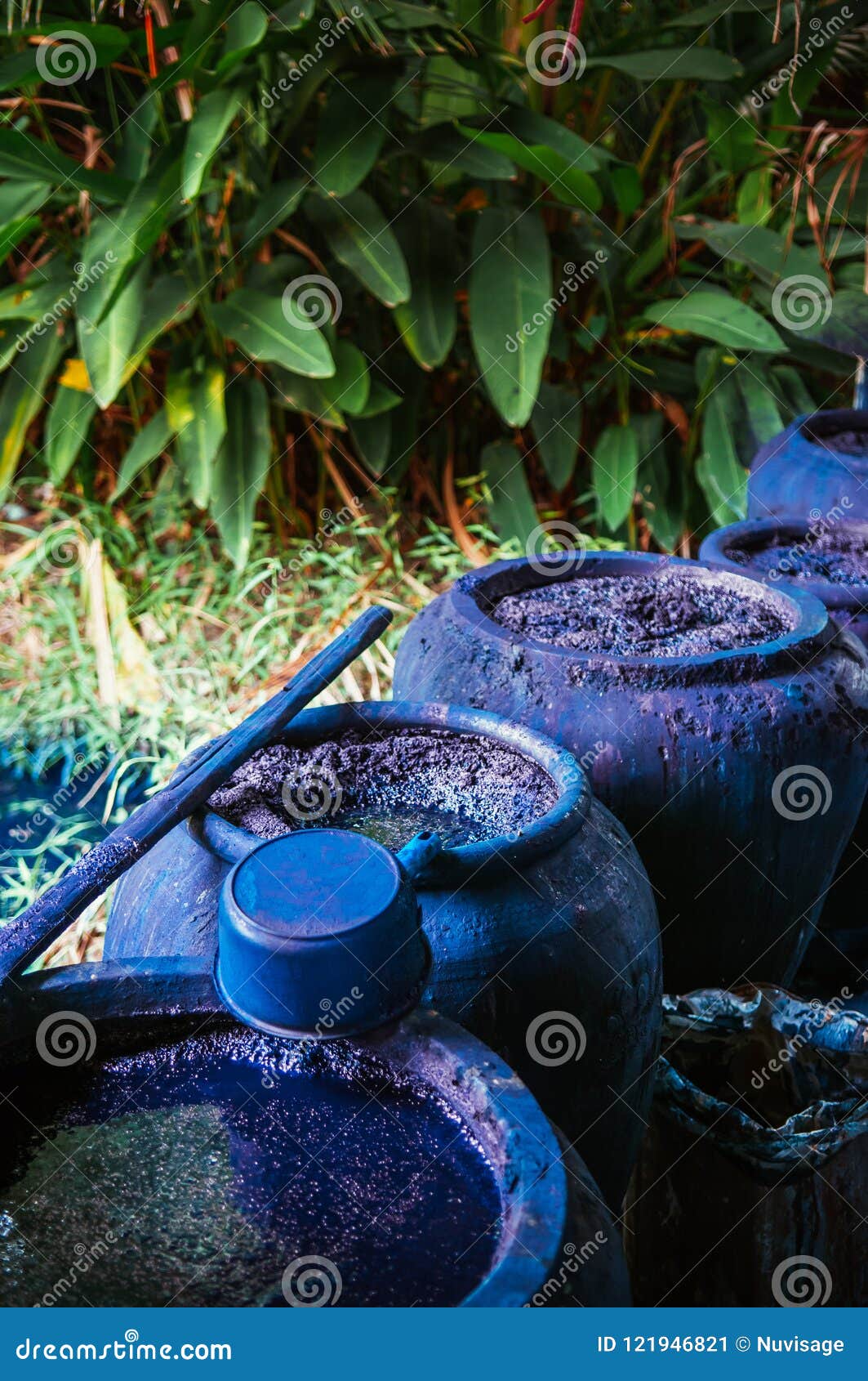 process of making indigo dye, indigo plant fermentation in clay