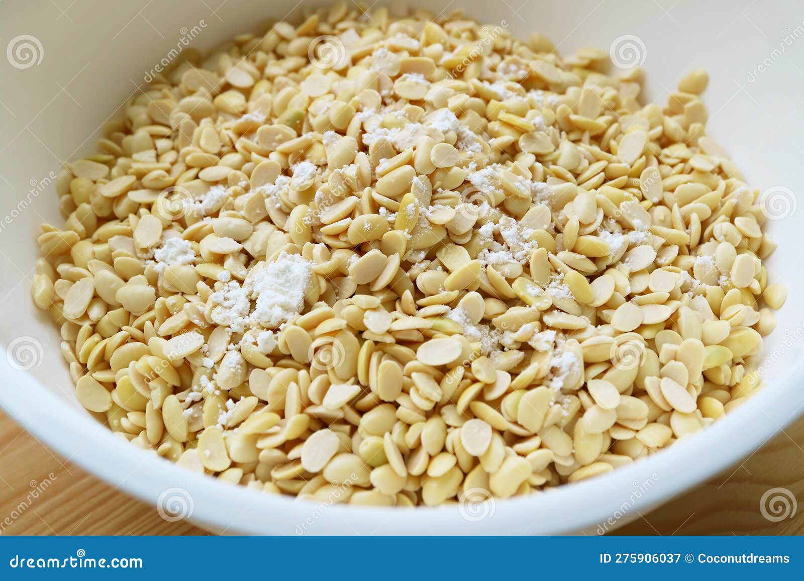 Process of Mix Powdered Tempeh Starter with Boiled Soybeans Stock Image