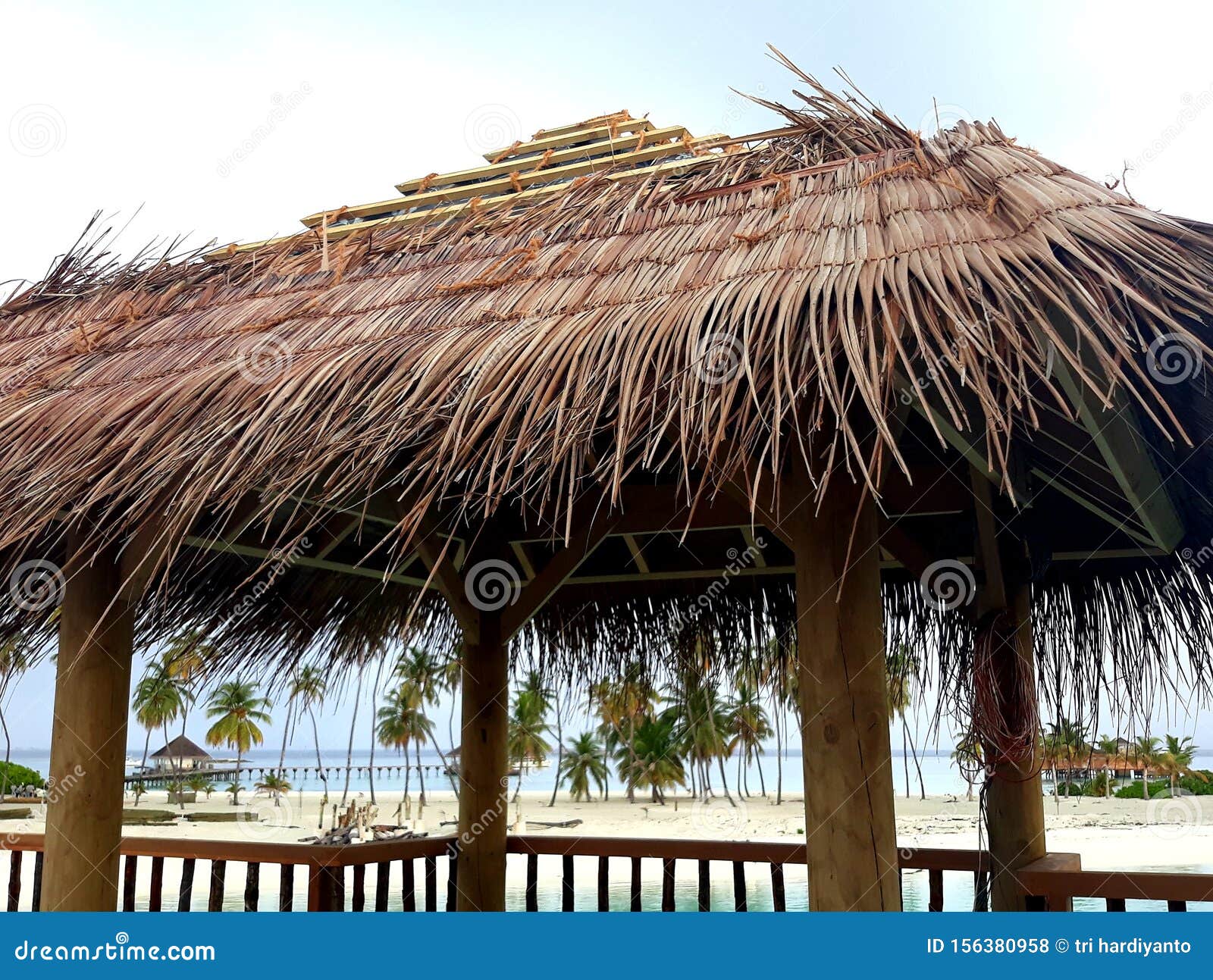 The Process of Processing Dried Coconut Leaves for the Roof of the Hut