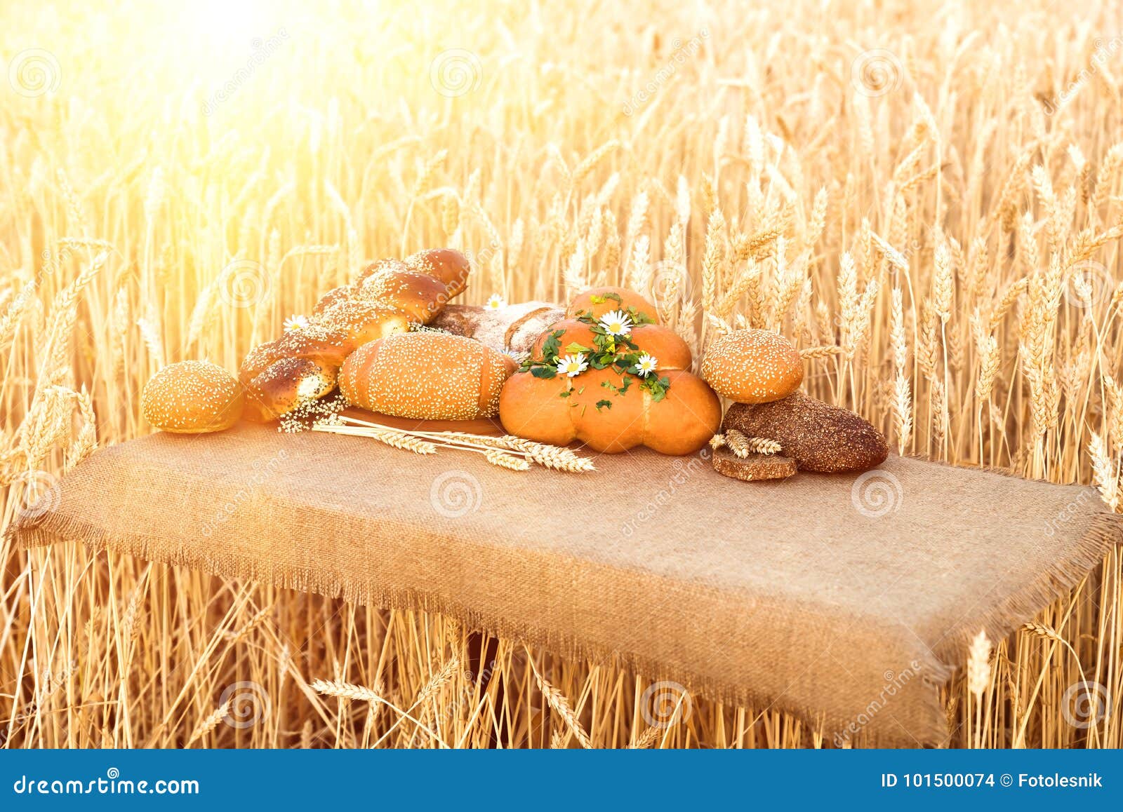 Prodotti della panificazione che si trovano su una tavola davanti ad un giacimento di grano, primo piano