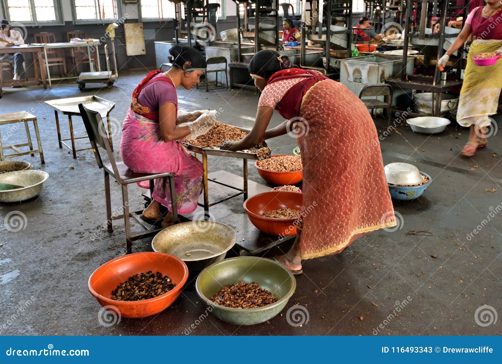 Production of cashew nuts editorial stock photo. Image of food 116493343