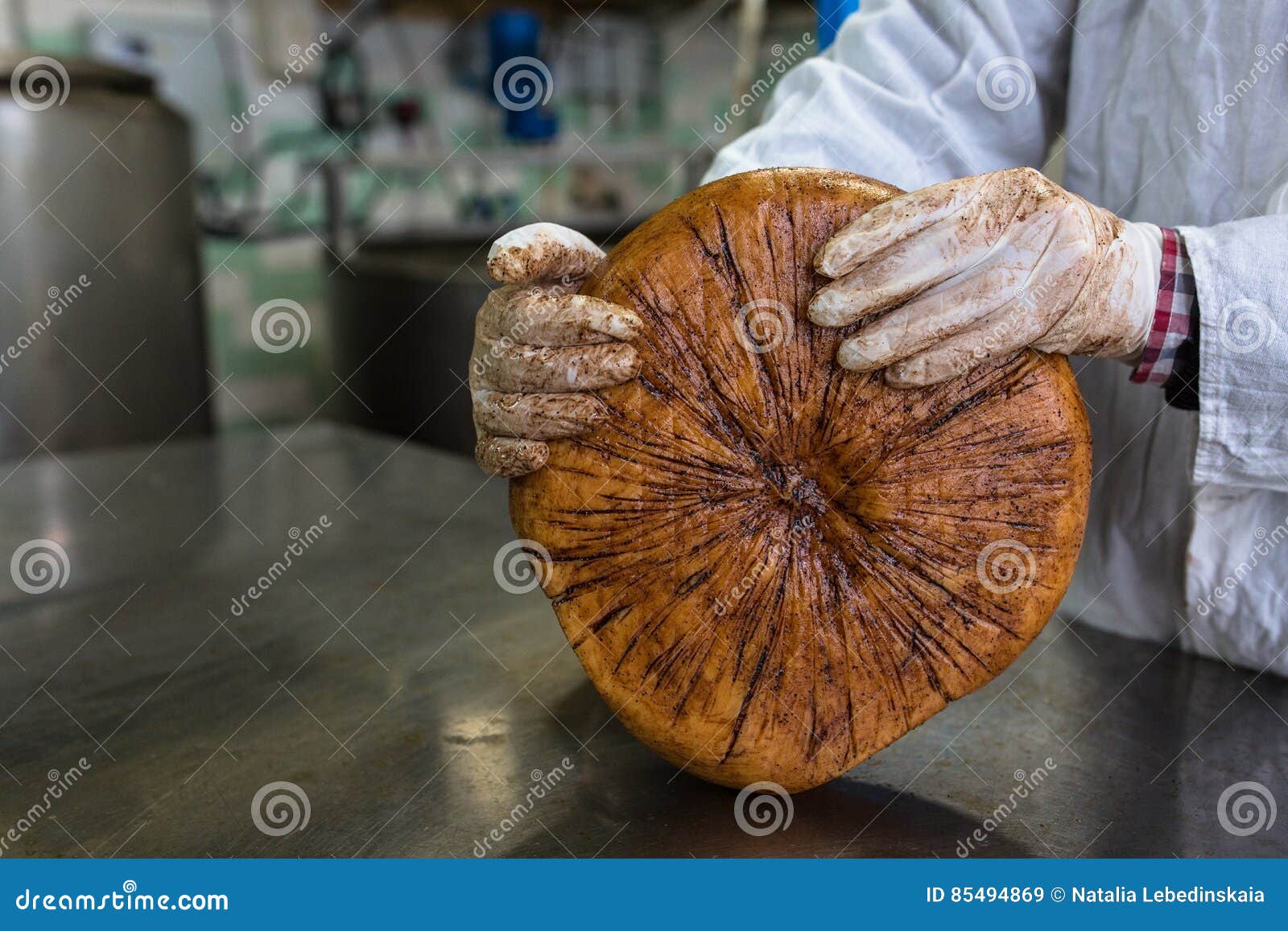 Monterey Jack Cheese Digital Art Illustration Isolated On White