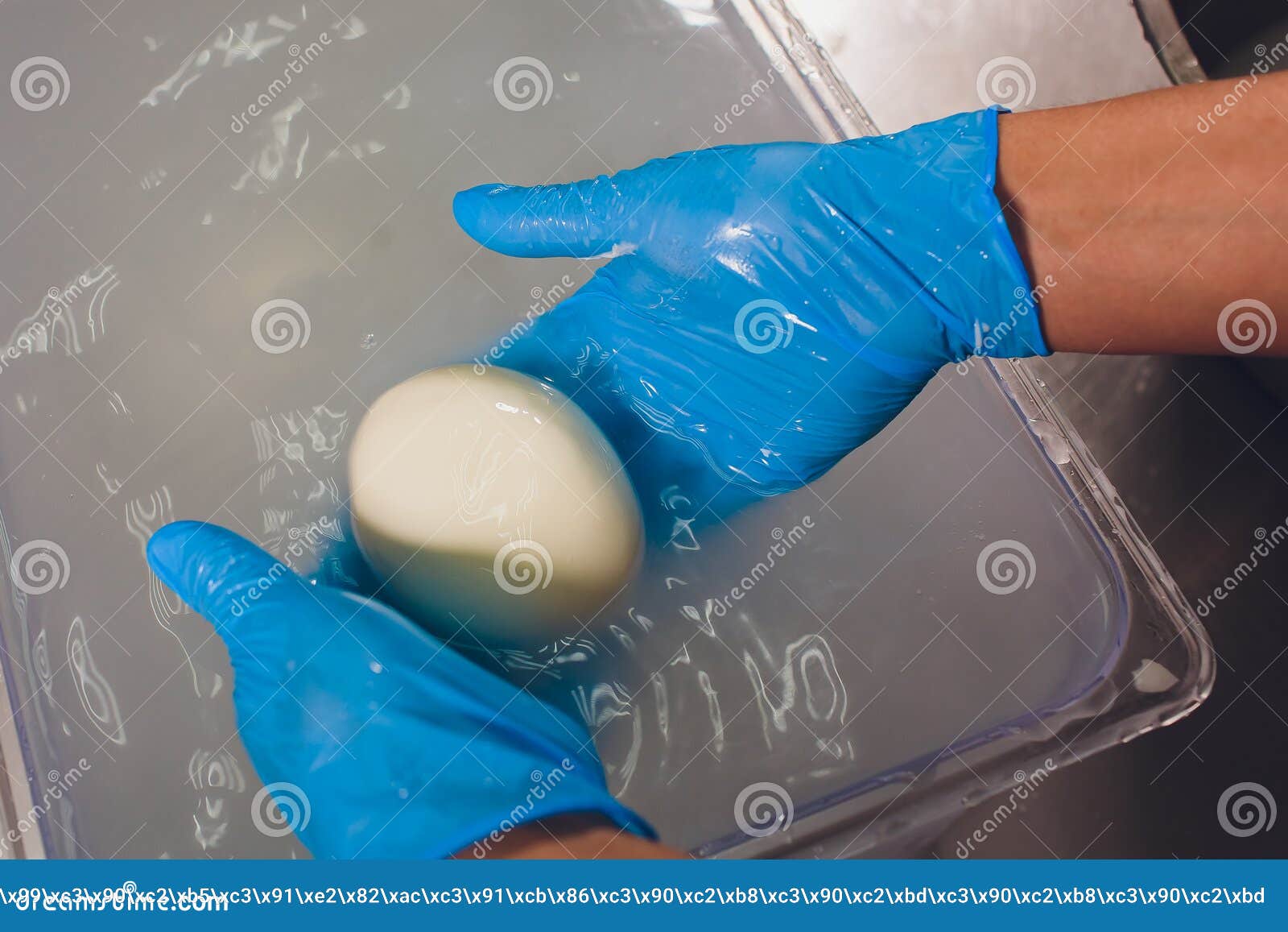 Production Process of Mozzarella Cheese, Cheese Making Process. Stock Image Image of kneading
