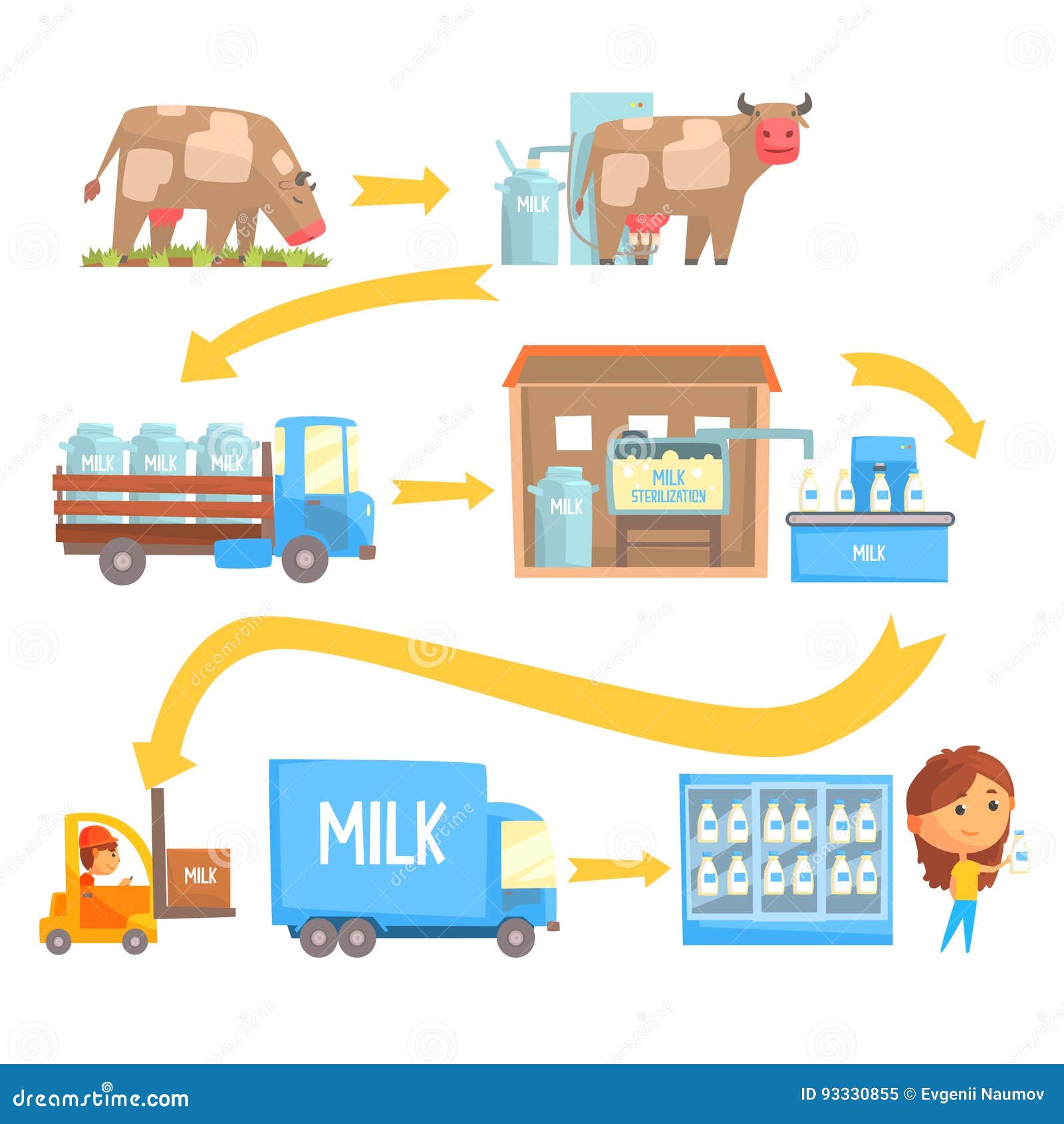 production and processing milk stages set of  s