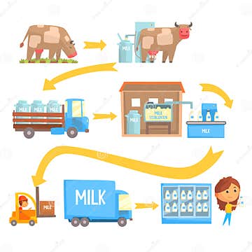 Production and Processing Milk Stages Set of Vector Illustrations Stock ...