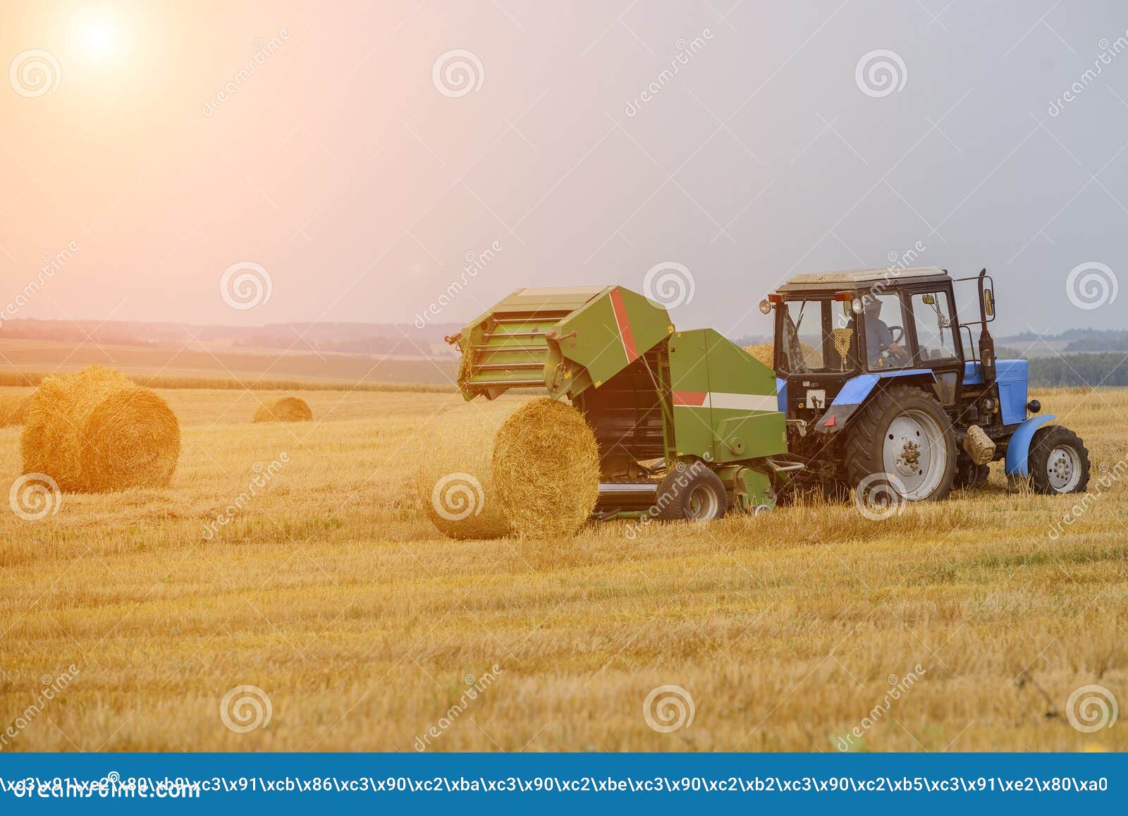 The Production of Rolls of Straw Tractor Stock Image Image of field