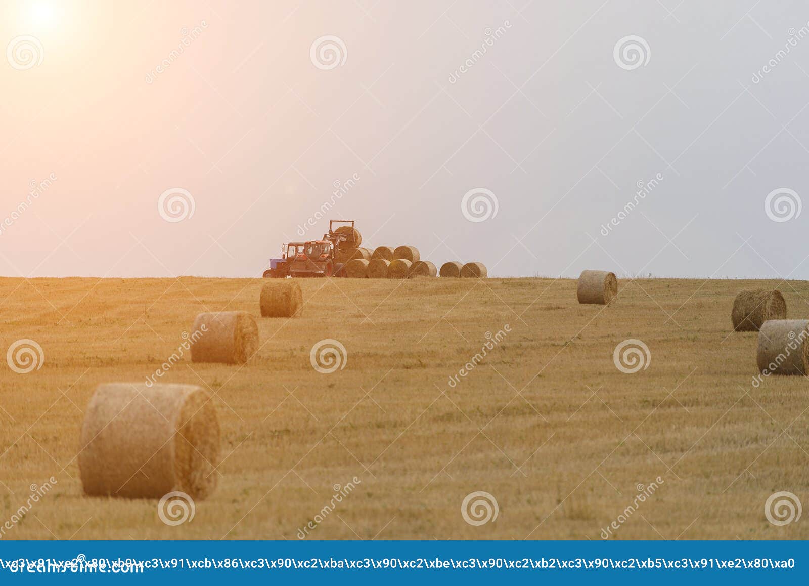 The Production of Rolls of Straw Tractor Stock Image Image of
