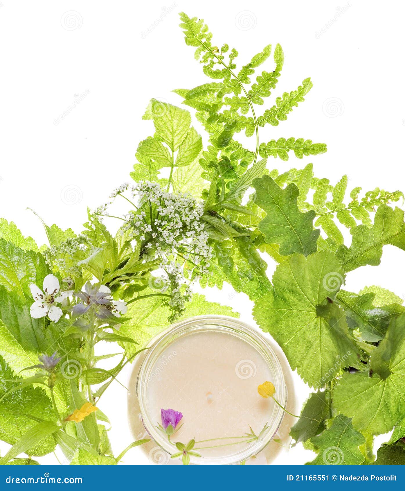 Produits De Beaute Et Herbe Image Stock Image Du Produits Herbe 21165551