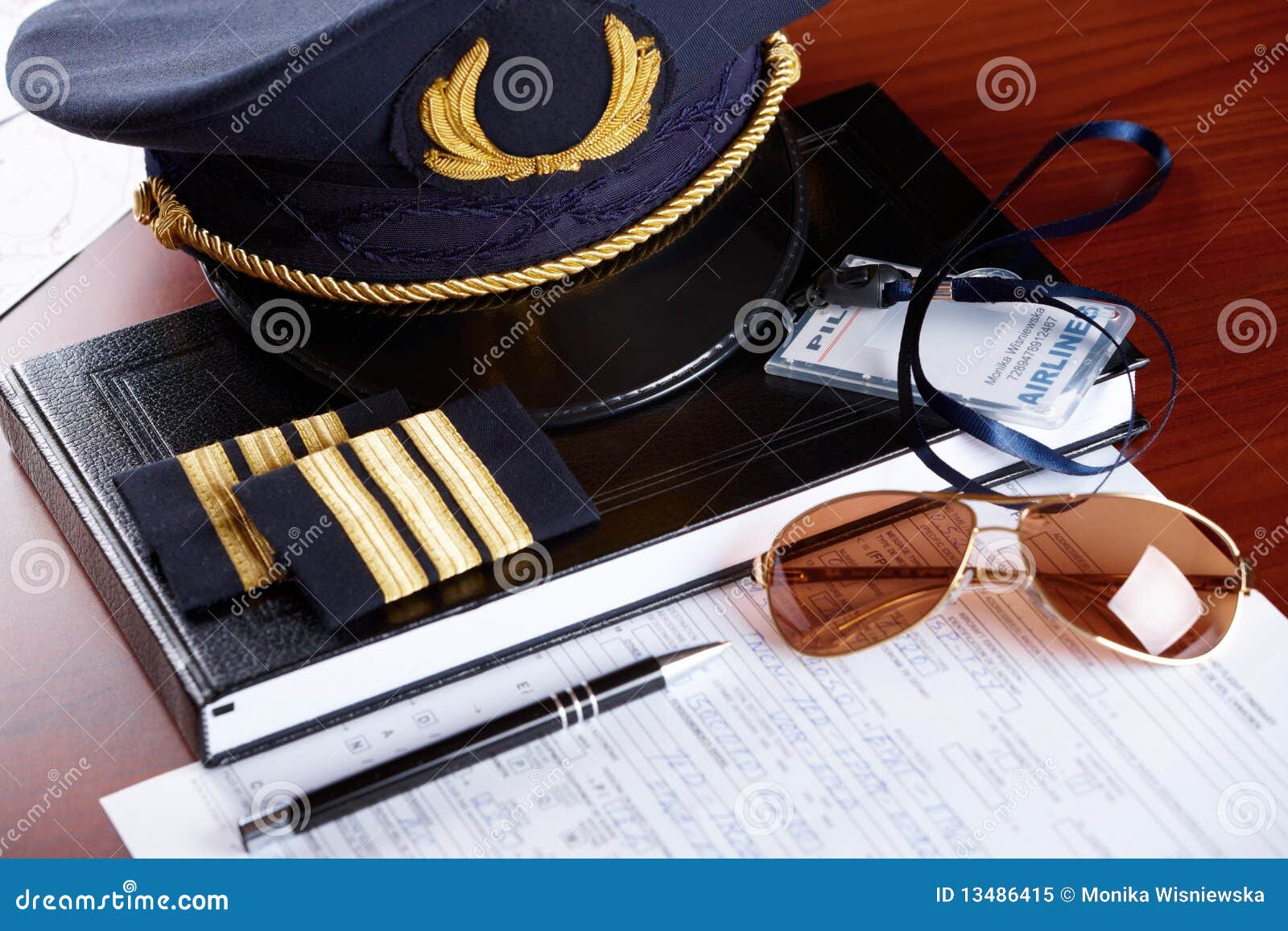 professional airline pilot equipment