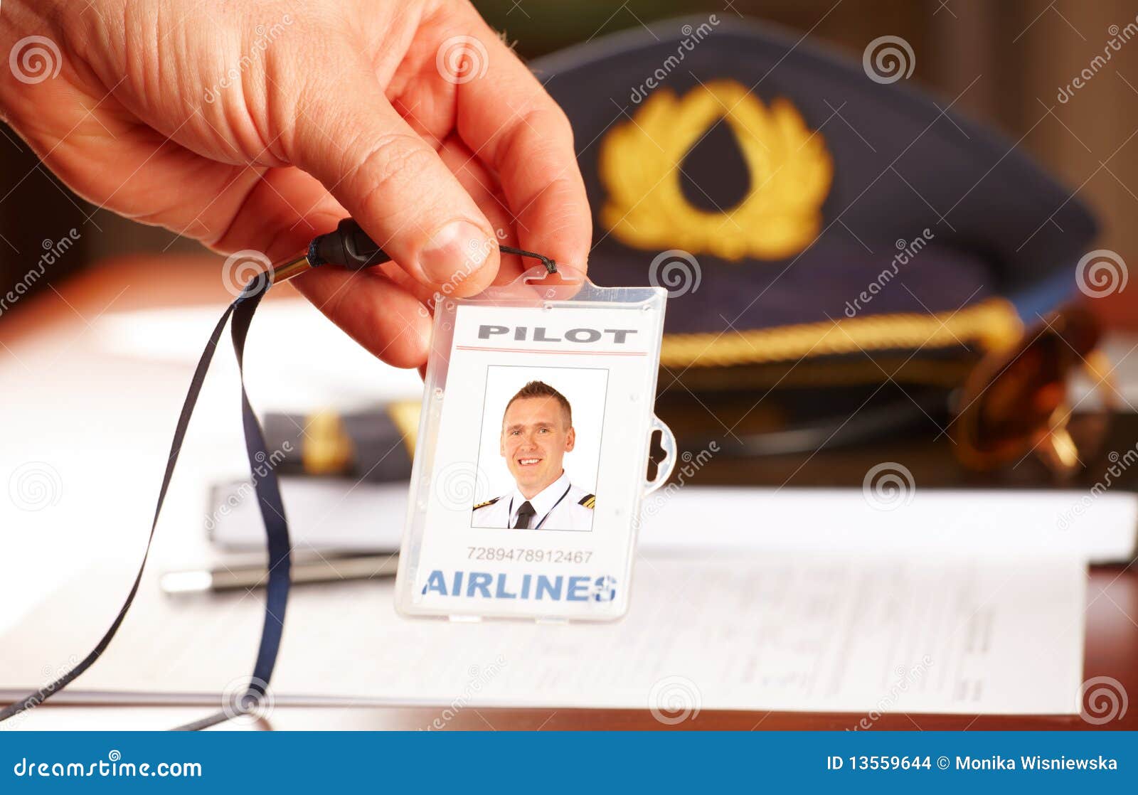 Professional Airline Pilot Equipment Stock Photo Image of aircrew