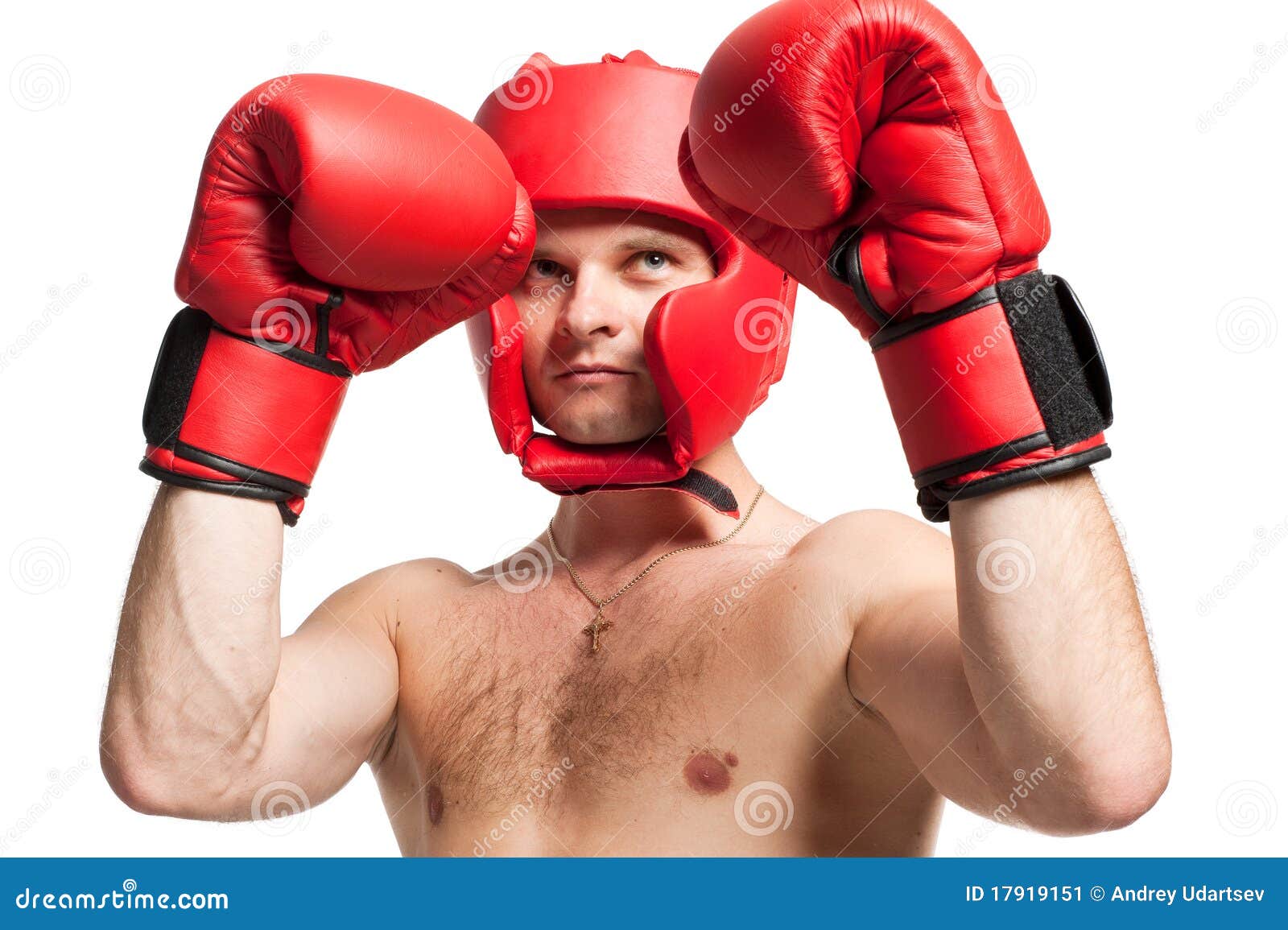 Professional Boxer Stance Isolated on White Stock Image Image of