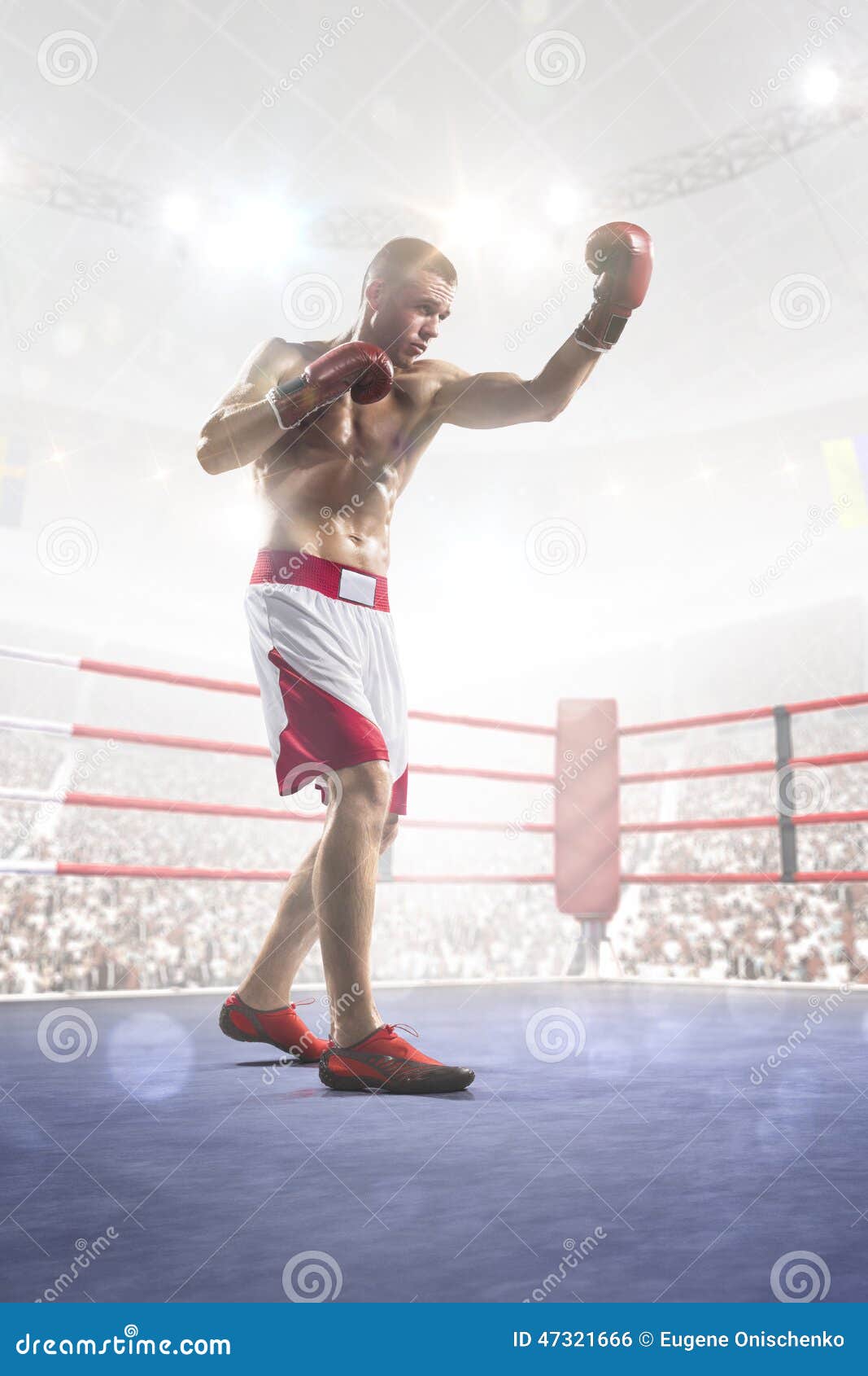 Professional Boxer is Training on the Grand Arena Stock Photo Image