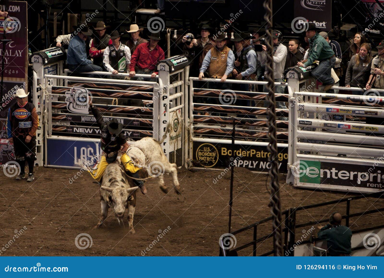 Professional Bull Rider Tournament On Madison Square Garden