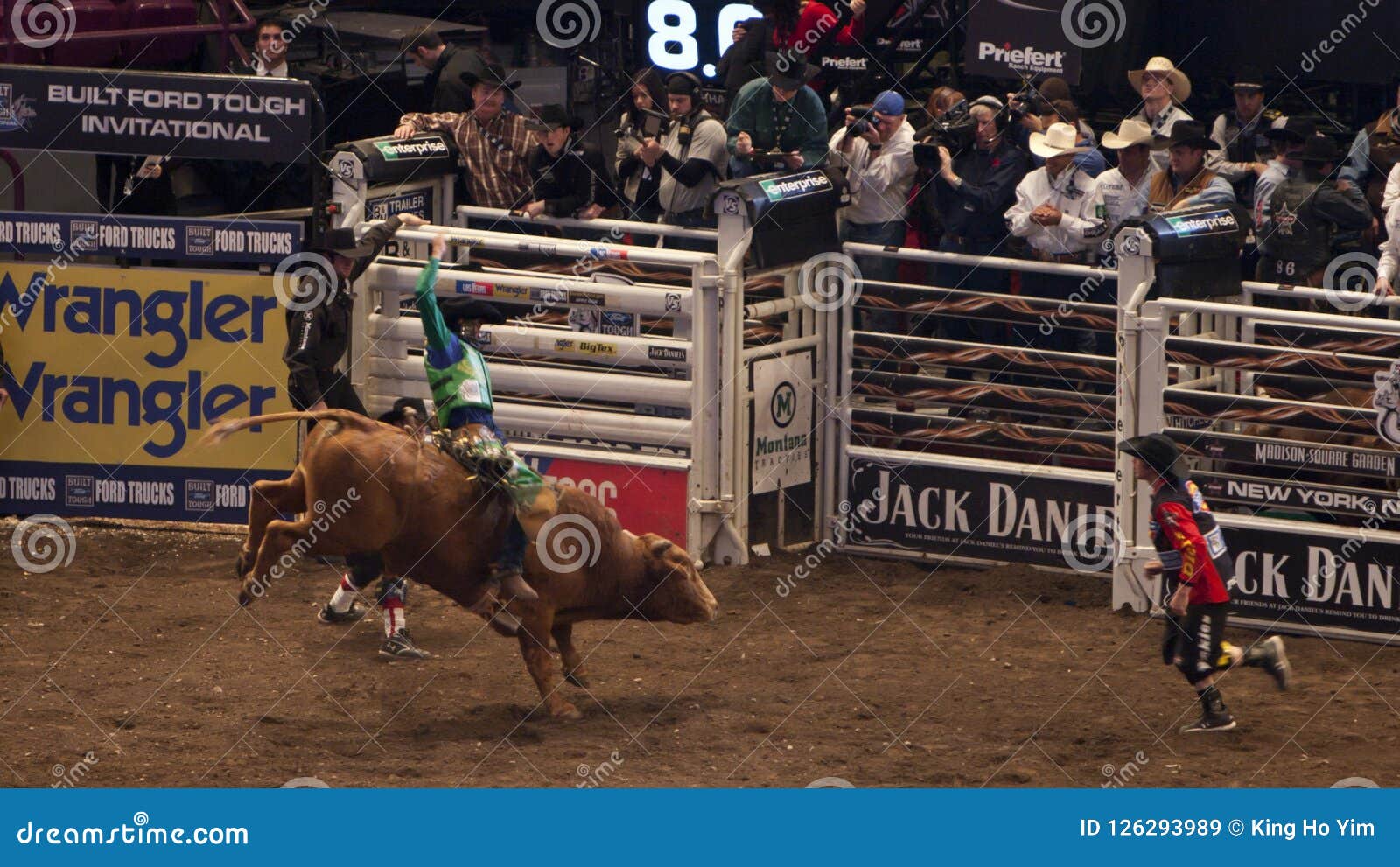 Professional Bull Rider Tournament On Madison Square Garden