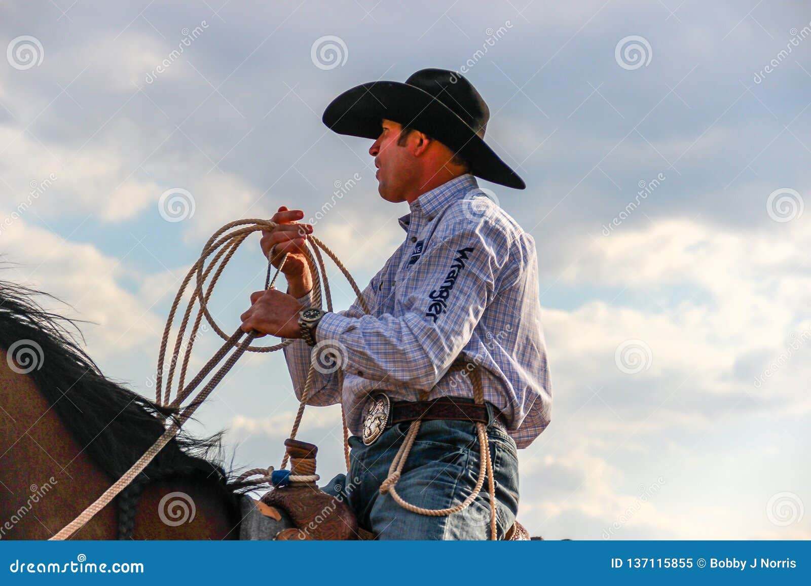 Professional Calf Roper Wearing a Wrangler Shirt and Cowboy Hat Editorial  Image - Image of texas, farm: 137115855