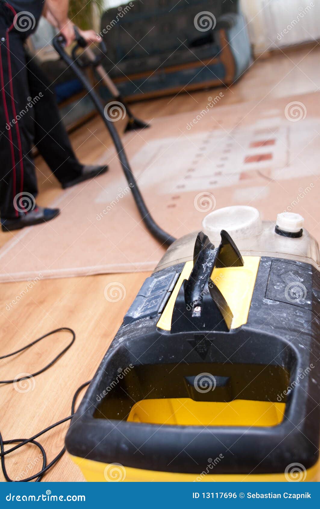 Professional Carpet Cleaning Stock Photo Image of carpet, room 13117696