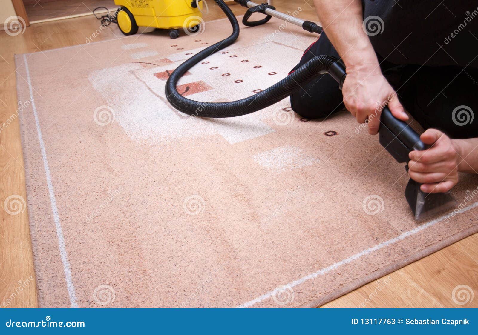 professional carpet cleaning