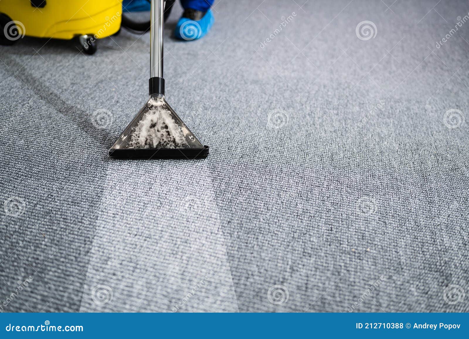 professional carpet cleaning service. vacuum cleaner