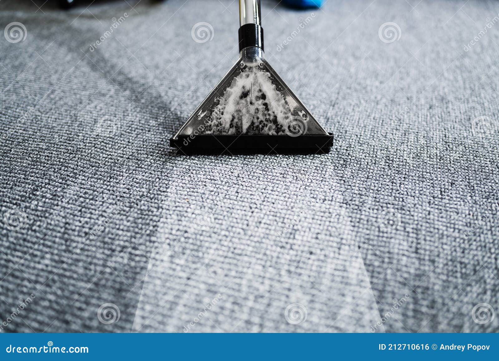 professional carpet cleaning service. vacuum cleaner