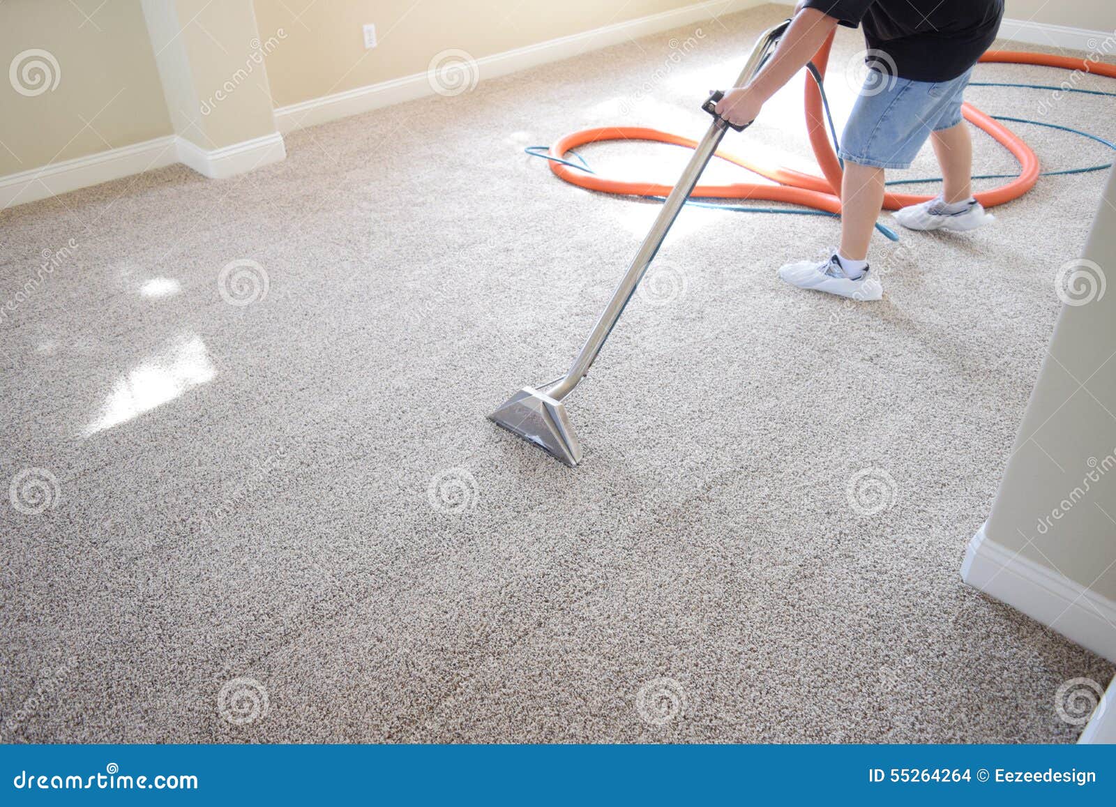 professional carpet cleaning