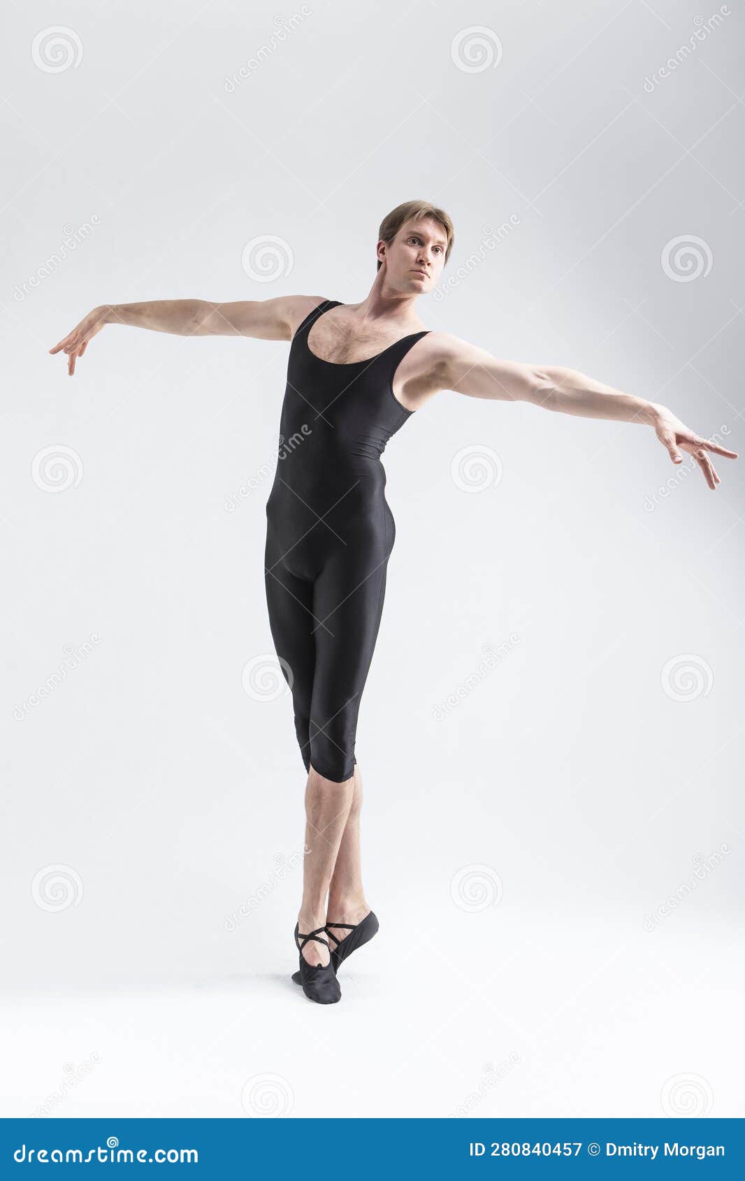 Male ballet poses Royalty Free Vector Image - VectorStock