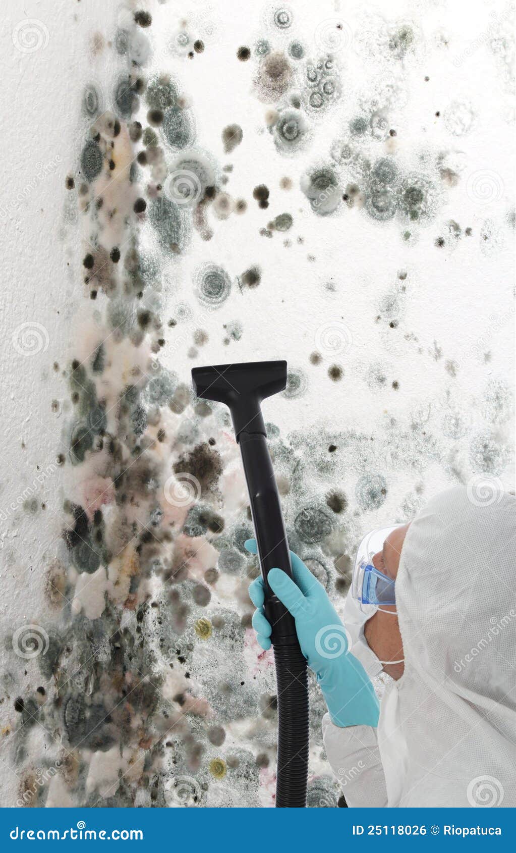 Professional Cleaning Mould Off a Wall Stock Photo - Image of