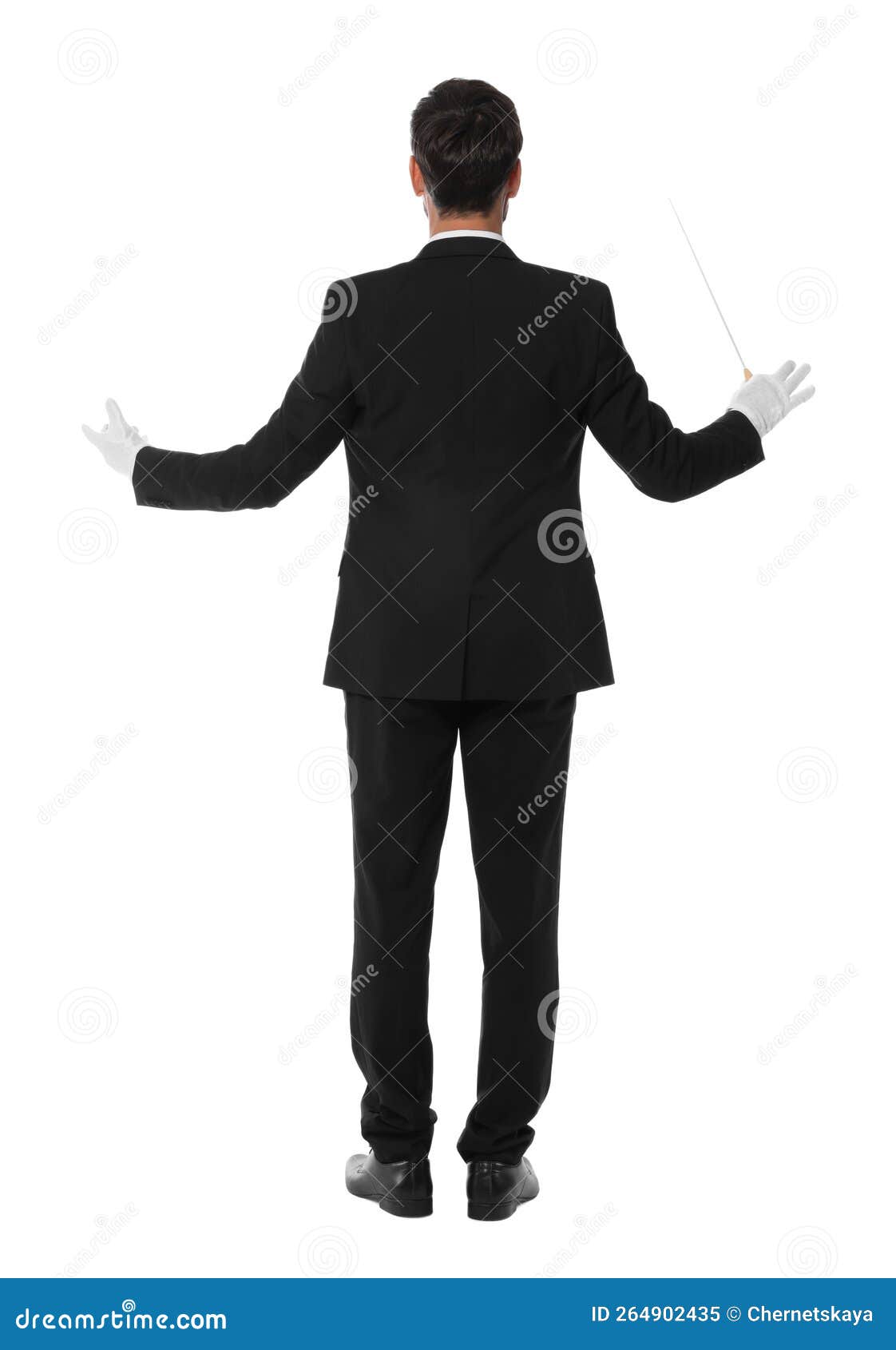 Professional Conductor with Baton on White Background, Back View Stock