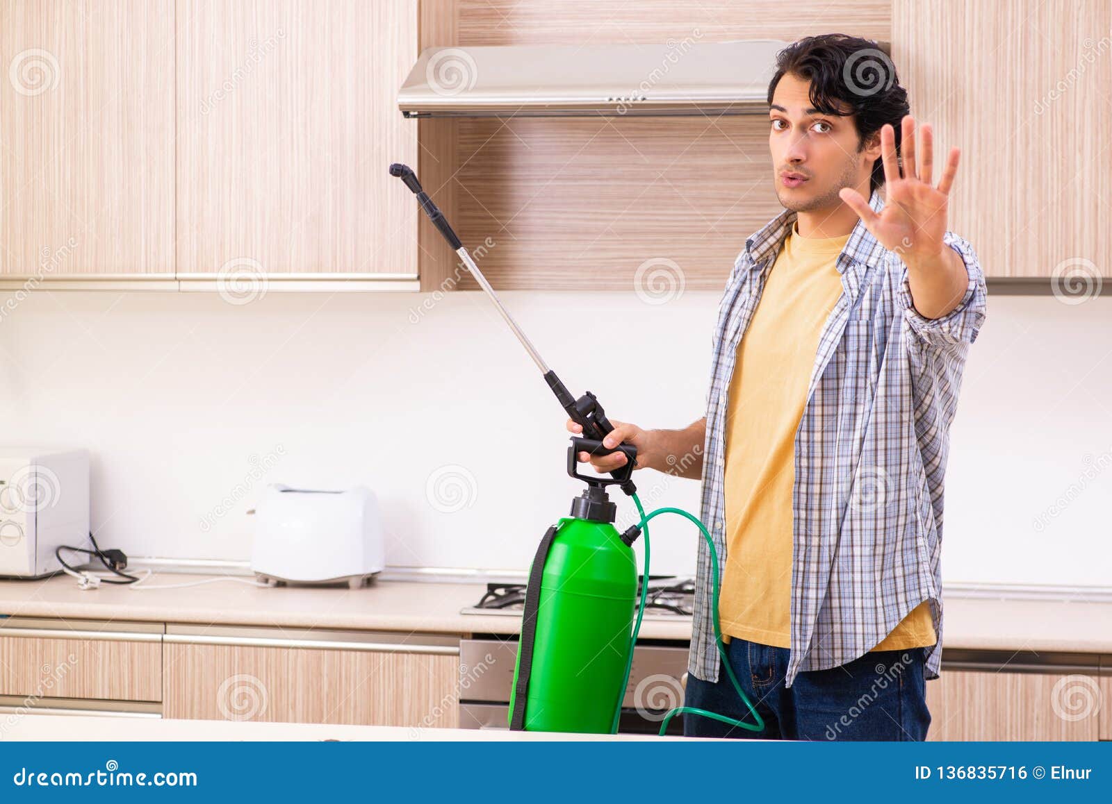 The Professional Contractor Doing Pest Control at Kitchen Stock Photo