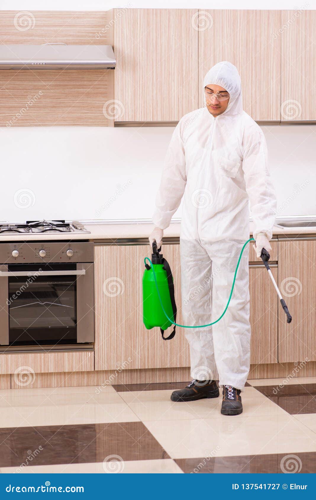 The Professional Contractor Doing Pest Control at Kitchen Stock Image