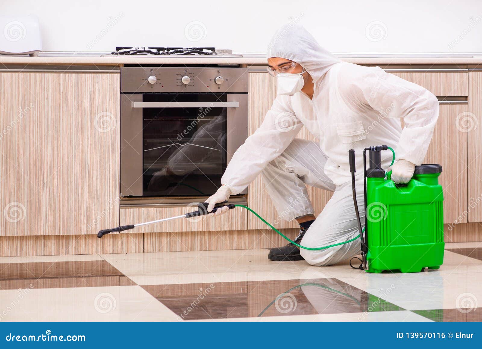 The Professional Contractor Doing Pest Control at Kitchen Stock Photo