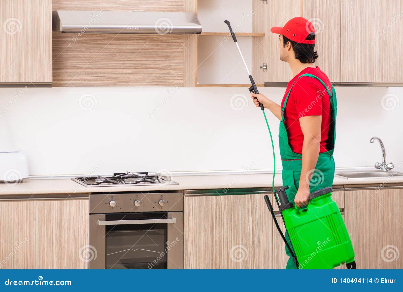 The Professional Contractor Doing Pest Control at Kitchen Stock Photo
