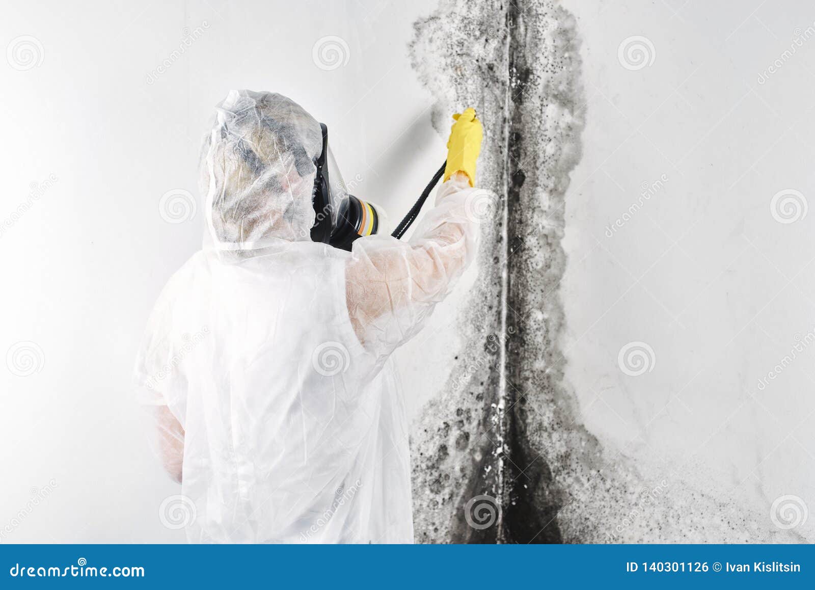 a professional disinfector in overalls processes the walls from mold. removal of black fungus in the apartment and house. aspergil