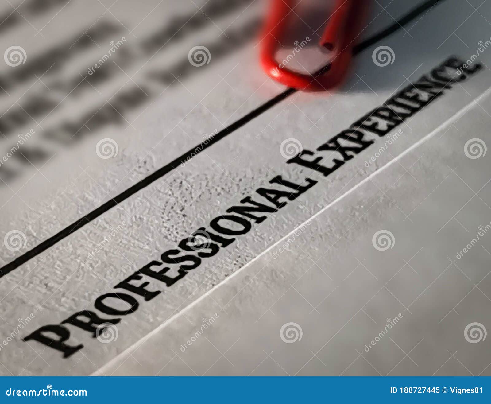 Professional experience stock image. Image of expertise 188727445