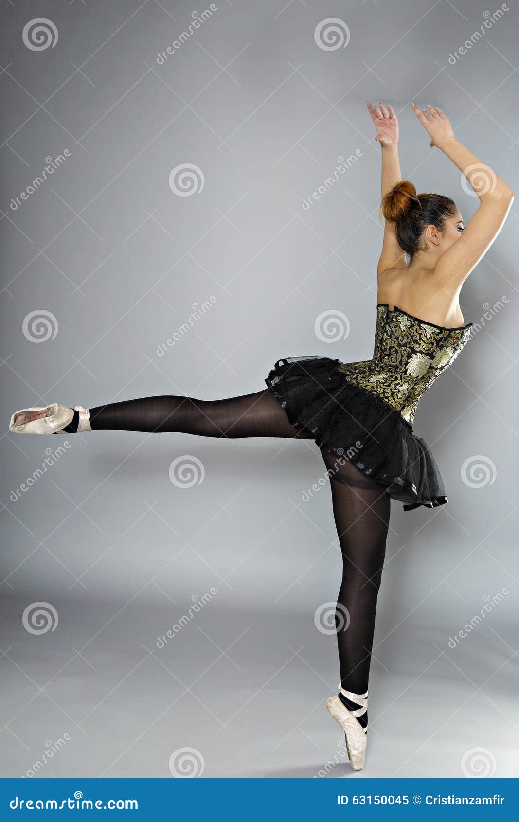 Professional Female Ballet Dancer Stock Image Image of beauty