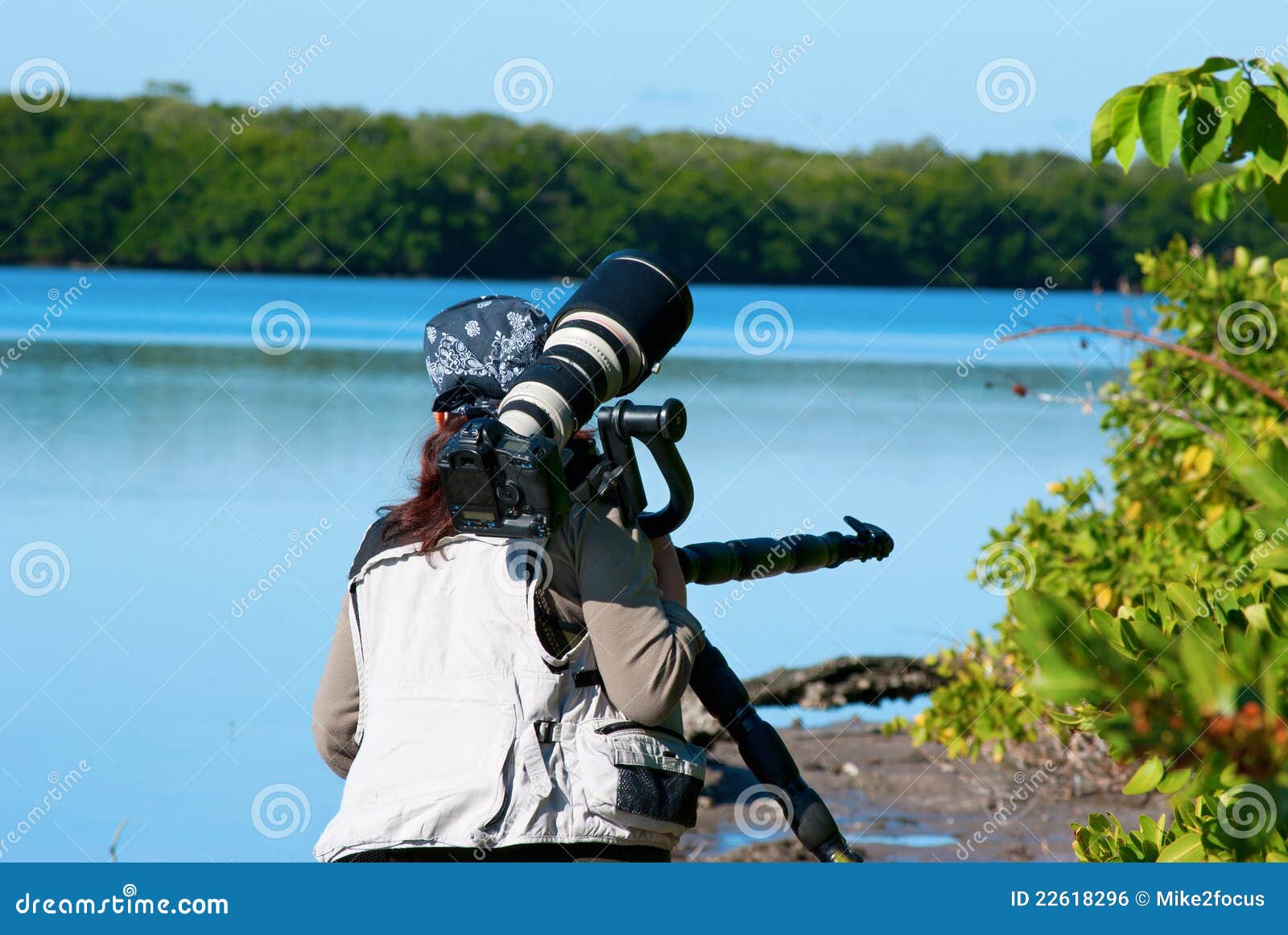 Forblive Watt afstand Professional Female Nature Photographer Stock Photo - Image of lady,  equipment: 22618296