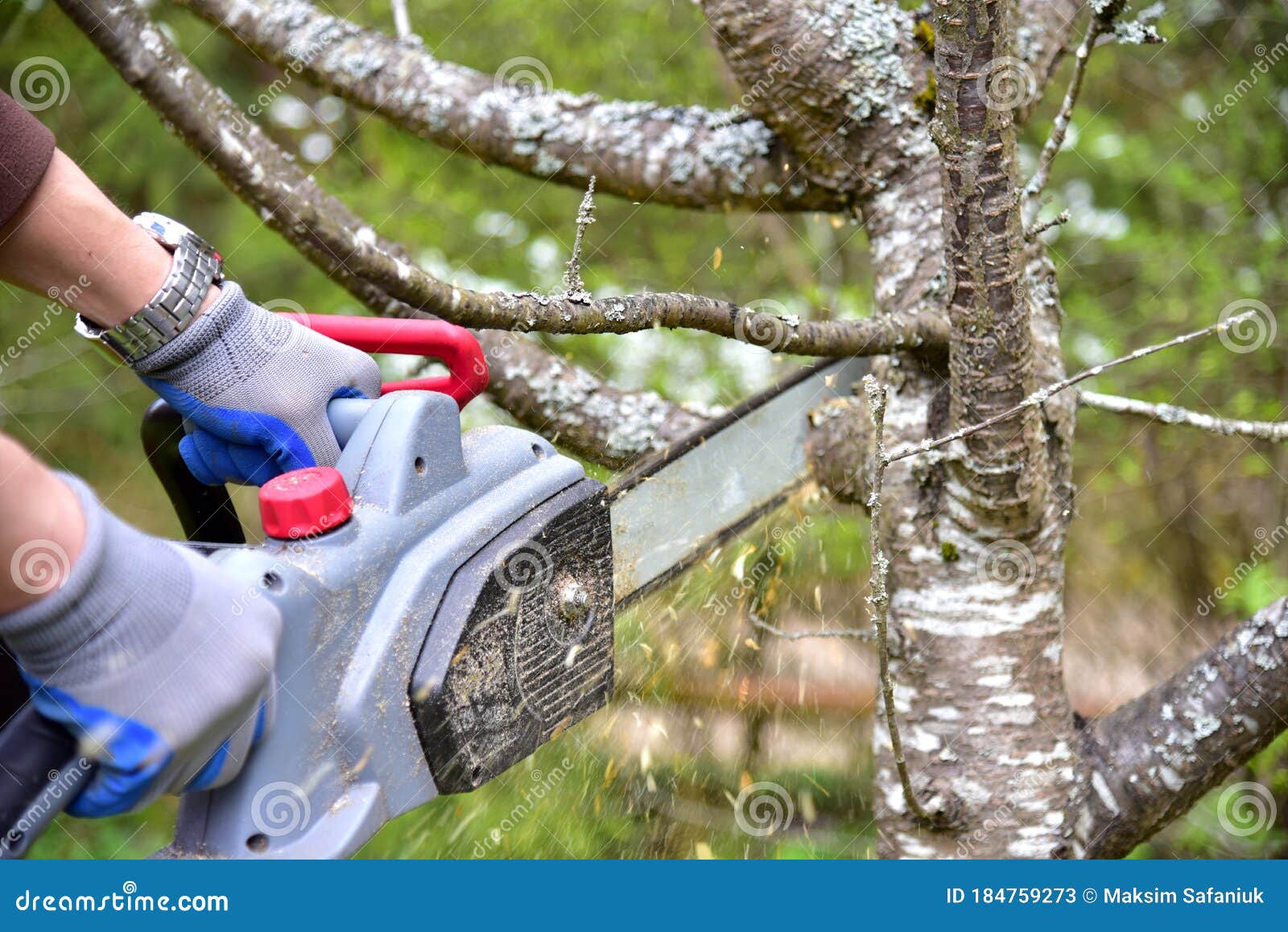 Professional Chainsaws - Tree Service Chainsaws