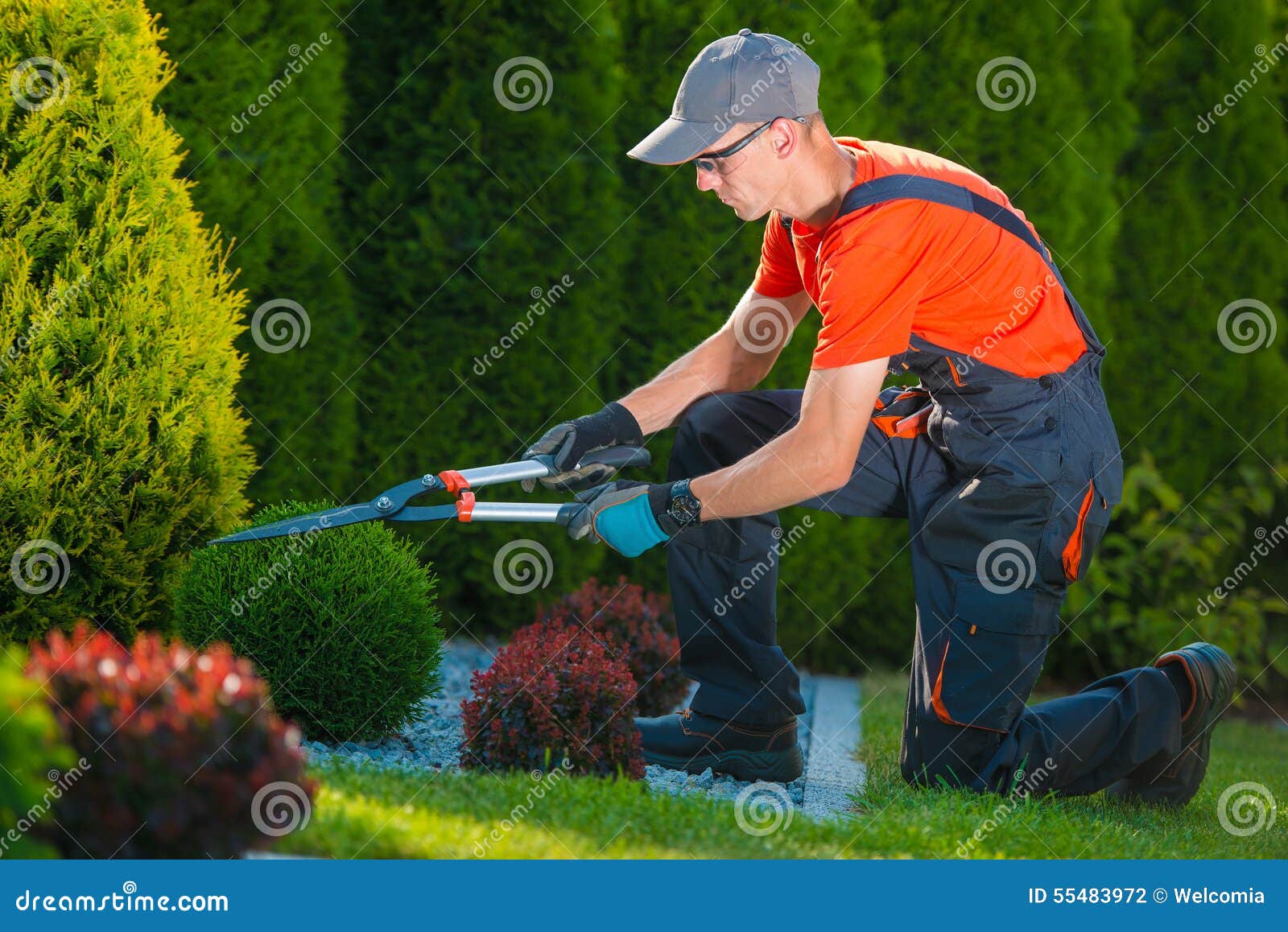 professional gardener at work